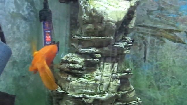 34a2f61e93aab81a20a3f6cd15e1b89f