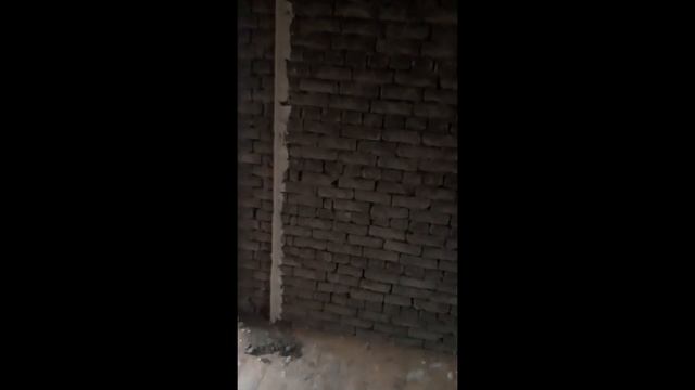 Mayak Qoyish Arzon VA Sifatli Varyanti Tez  Koringlar  ??