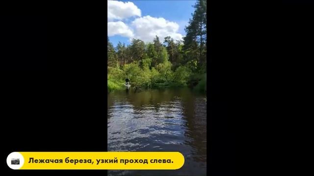 Интересный и живописный сплав вверх по течению реки Нерская от 10.06.2023