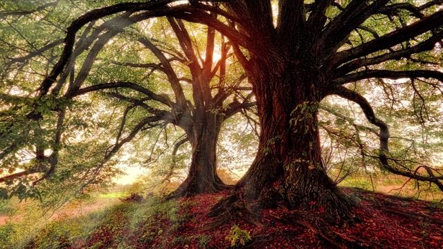 A34a71370b05ecbee3919f9a10beaa7d