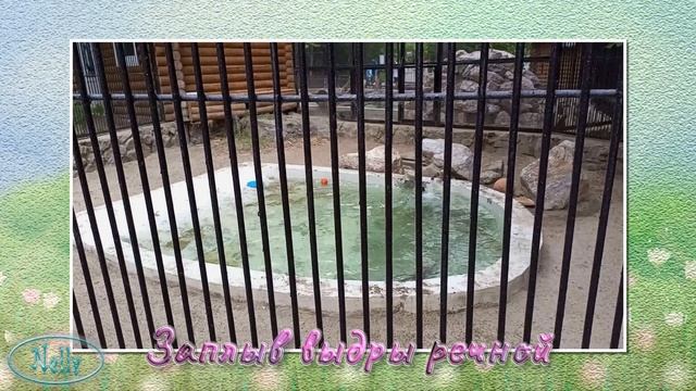 Один день в июне