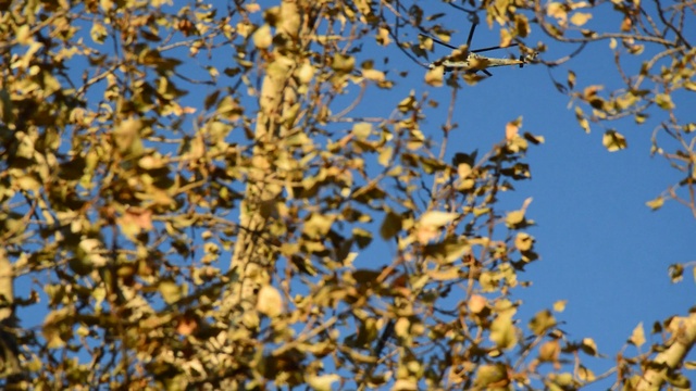 Ми-24 в полёте 