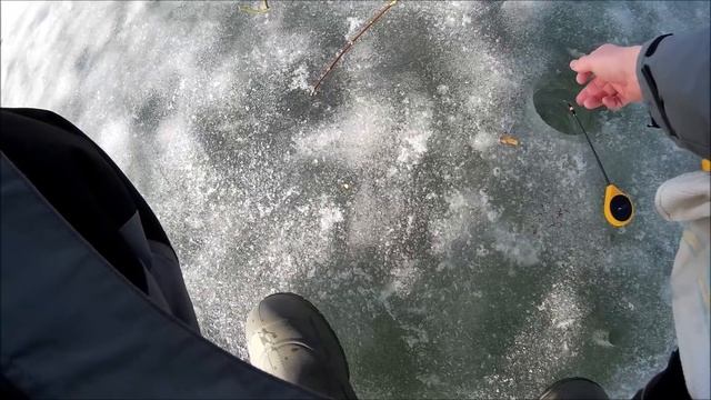 ЛОВЛЯ РЫБЫ С ПОДВОДНОЙ КАМЕРОЙ.