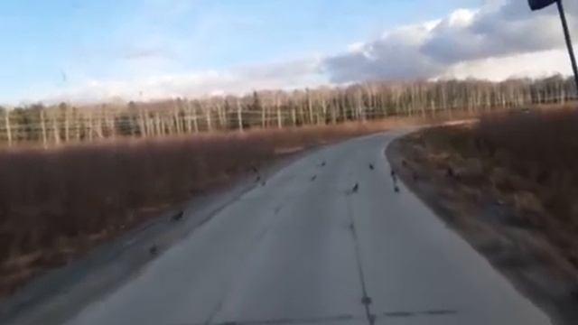 86891b51de5dea59d7b0c73b276fb77d