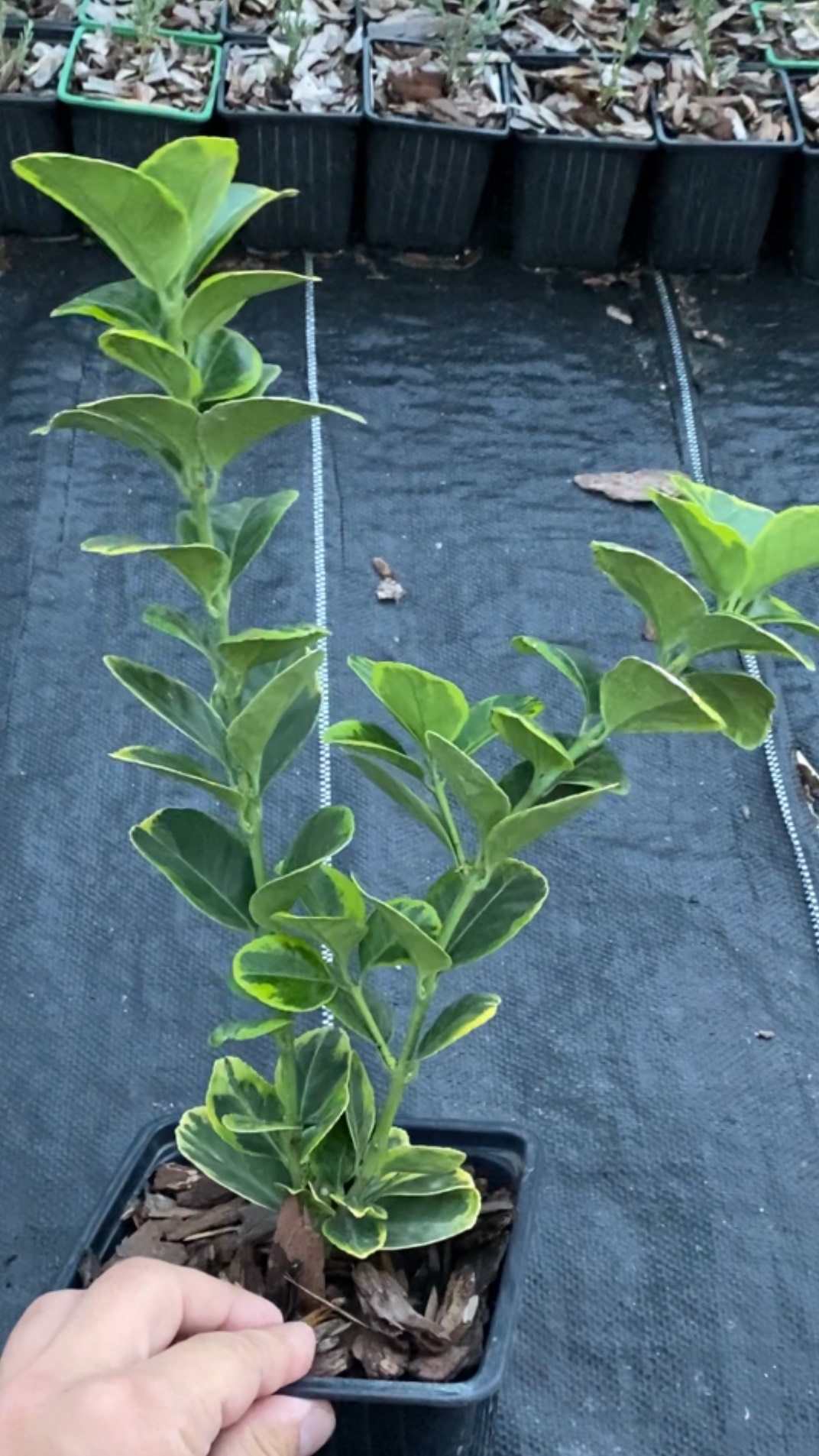 Кто на рыбалку?😅