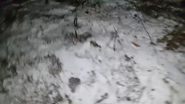 Гололед. Вылетел с дороги