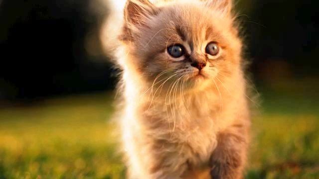 Новая клубная музыка Mp 3. Действительно классная...