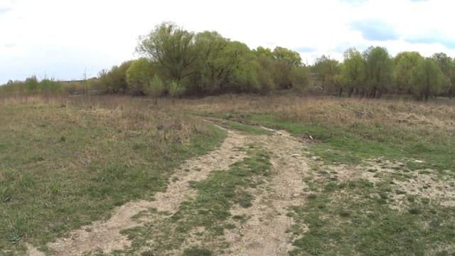 МАРАФОНЫ ЖЕЛАНИЙ И ЗАПРОСЫ ВО ВСЕЛЕННУЮ