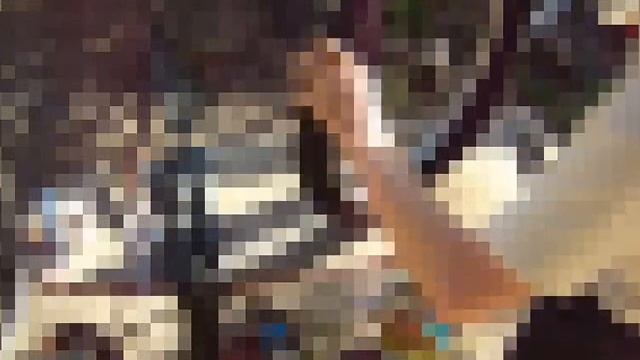 Жизнь в движении и красоте