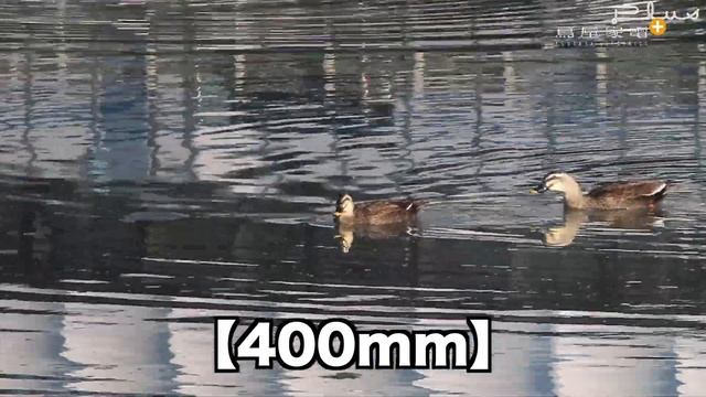 【PowerShot ZOOM】キヤノンの望遠鏡型カメラ!!観ながら、撮影もできる!!