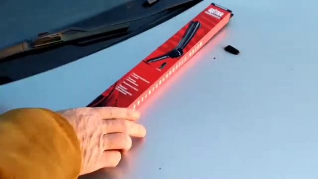 Домовая гармония