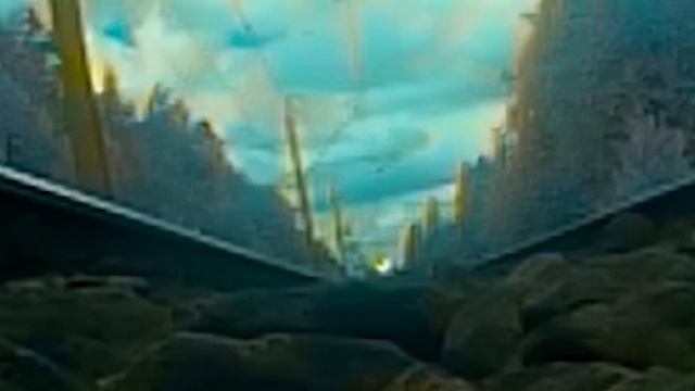 Экшен камеры в самых необычных местах  Только лучшие кадры