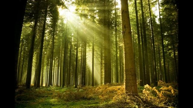 СЧИТАЛОЧКА ЧРЕЗ ВЕКА. Пророчества по планете #НаянаБелосвет