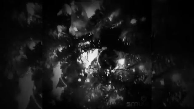 Eef49b0a97863ecc11afc625d198bfa3