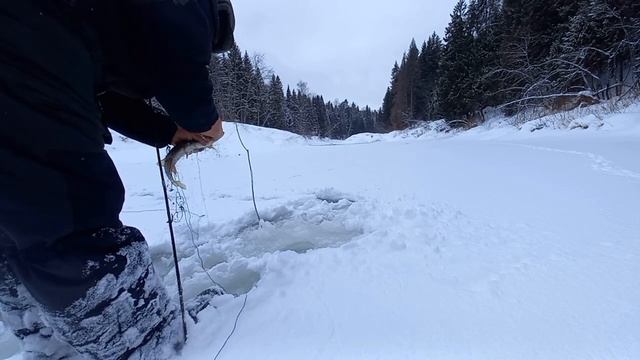 D9586d098c2706727a6e0600ec9619e0