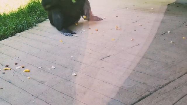 Eaed0517e74dc26985895078d3097c03