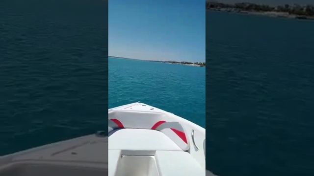 652e709a9cb77f9ec418309c08ce3af5