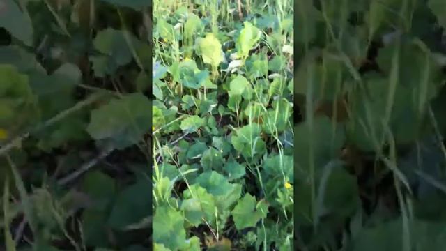 000756b27e43157d8ca517c20e57aaec