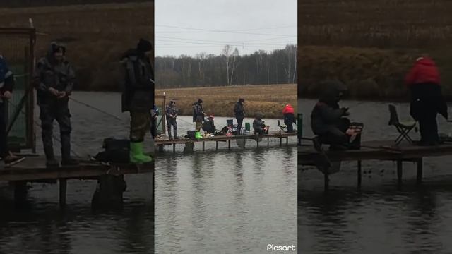 11 ноября 2023 г.