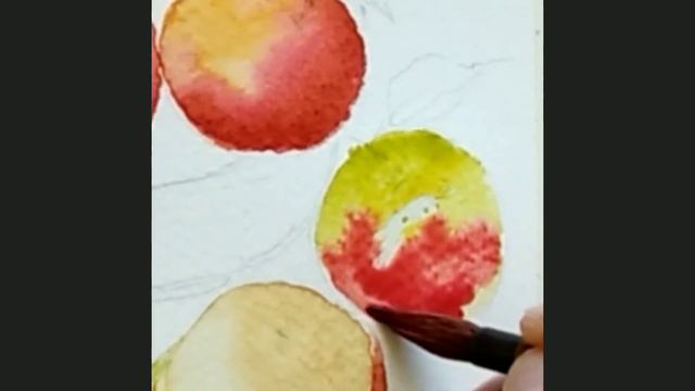 Apples In Watercolor - How To Paint Apples In Watercolor