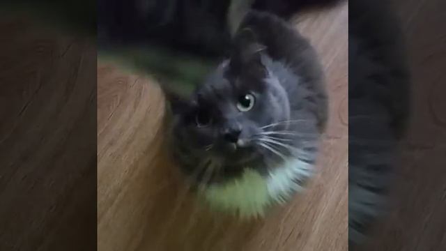 F27d9af8fa99d276c61638717e1c7fc3