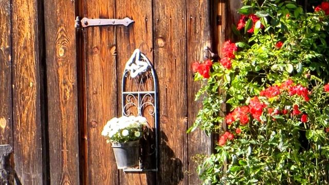 Уличный туалет больше не будет вонять, насыпьте это! Запаха не будет больше никогда!