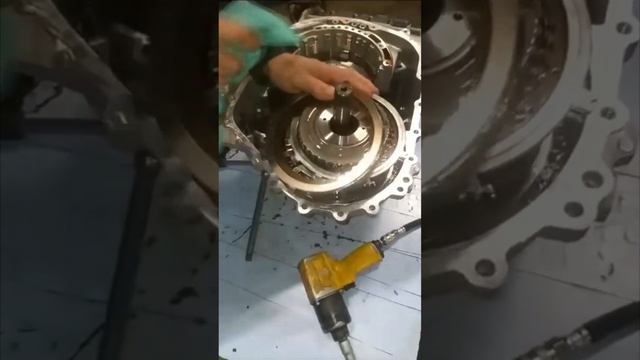 Пространство в Белой Палитре