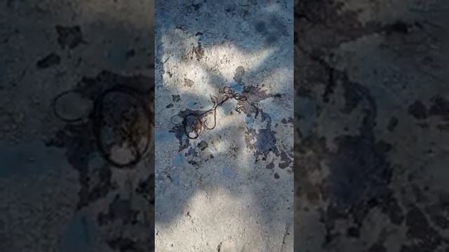 Живой волос в питьевом водопроводе город Есик