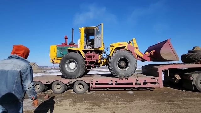 Озеленение участка: садовые секреты