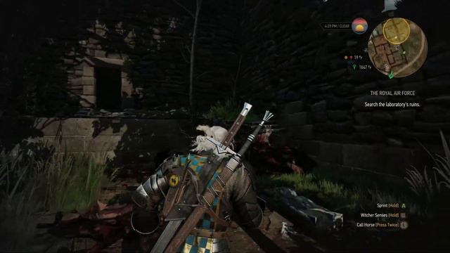 Найстаріші раси Континенту | Лор The Witcher