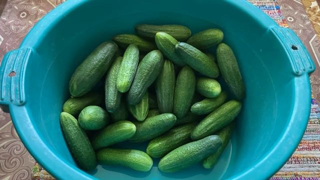 5cfe437a6cfcfb4177f7828b6282e198