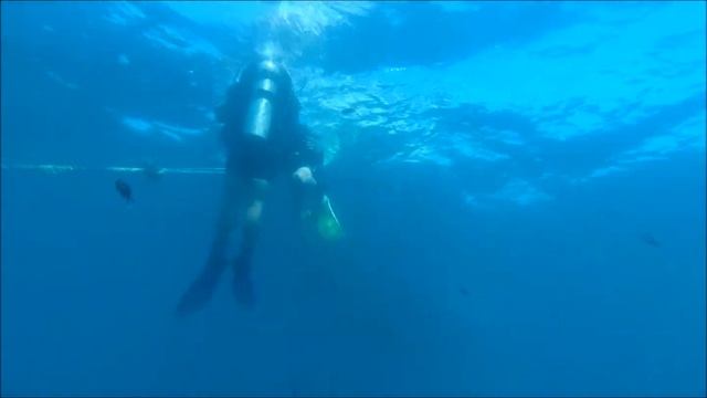 Дайвинг в Сочи для новичков погружение на затонувший корабль недорого! 8 (989) 089 80 81