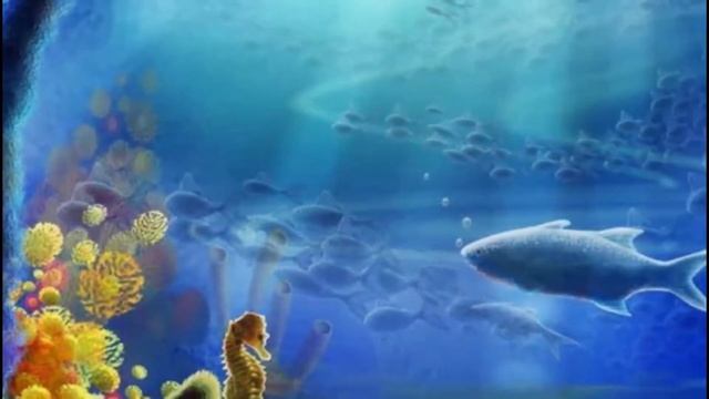 3364b186bd9137f1143b495cbee19550