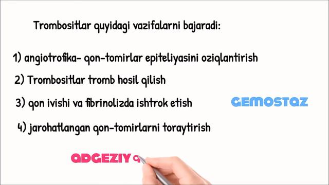Trombosit | Vazifasi | Trombositopoetin Va Trombositopoez