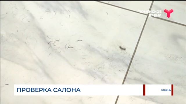 Проверка салона в Тюмени