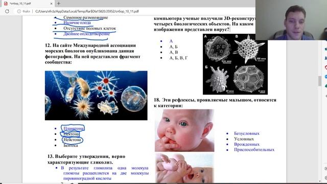 Перечневые олимпиады и разбор СПбГУ по полочкам!