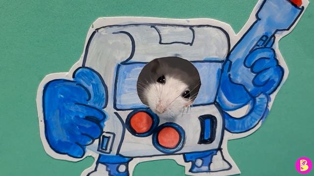 A9c5897633c6c17a10006272fbddc091