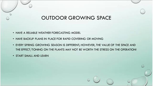 Getting More From Your Proven Winners Plants