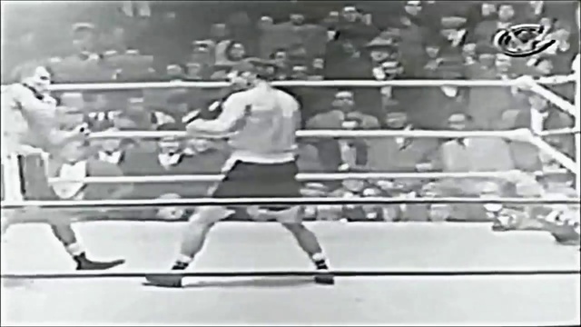 Top 10 Hardest Punchers In Boxing 