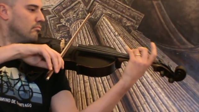 Very Interesting Antique Viola 015