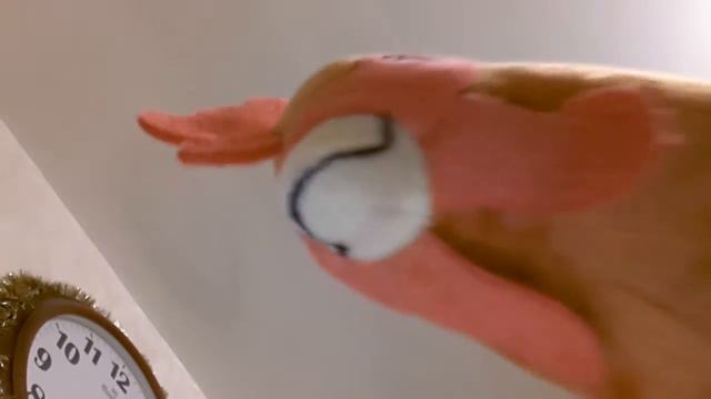 Поздравления от Петуха, Курицы и цыпы.Замена удаленного видео.И будем знакомы!!!