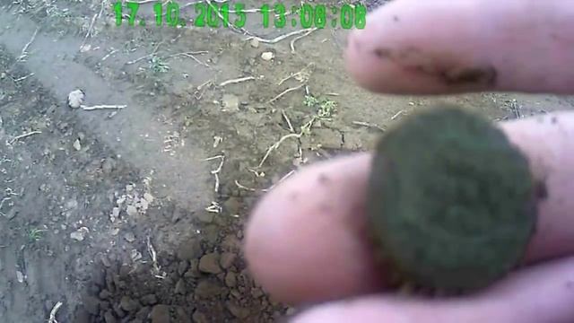 Мои находки 17 октября 2015 года
