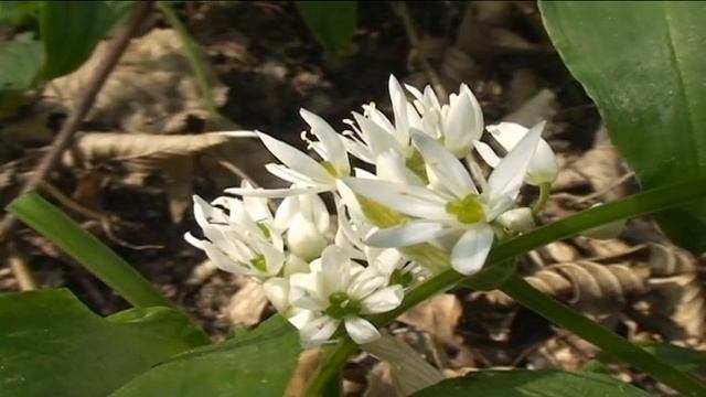 87a0f7657fe373e46ebea88ffb93f630