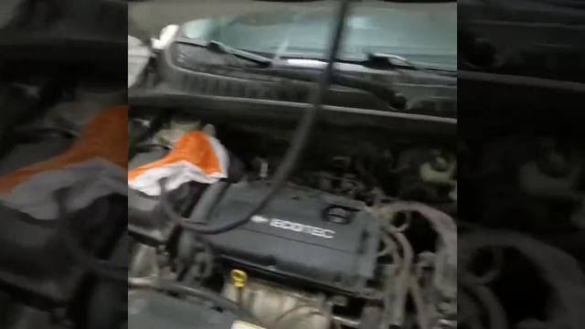 Автохищники Бездорожья