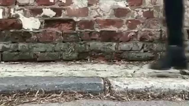 390d6a1ad4bfe08742b8c555f4e3d693