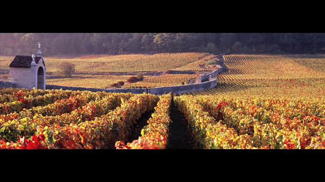 Antonio Vivaldi: Concerto For Violoncello, Strings & B.c. In D Minor (RV 406)