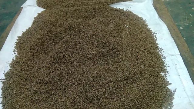 47f3fa988c45a5ca8e6bbd447a85e66d