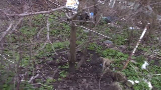 Дела Огородные  ! Какие минеральные удобрение надо вносить только Весной Груше.