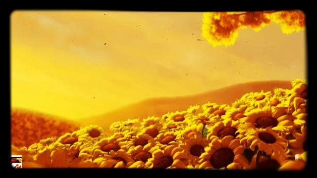 Букет ромашек...?