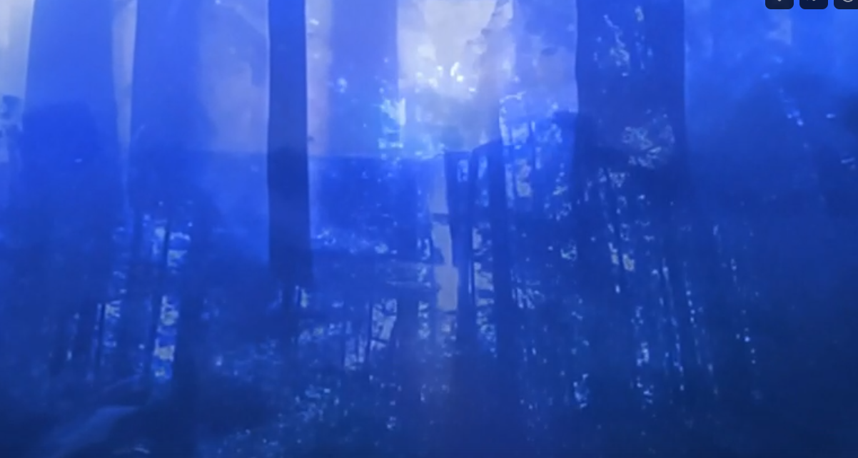 T E L E P A T H テレパシー能力者 - ハイパーマーケットの出会い